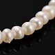 Natural Cultured Freshwater Pearl Beads Strands PEAR-E004-16-1