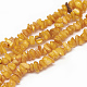 Freshwater Shell Beads Strands SHEL-S270-04-1