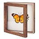 白いEVAフォームマットが入った木製ジュエリープレゼンテーションボックス  フラップカバー昆虫標本展示ケース、目に見えるアクリル窓付き  正方形  ココナッツブラウン  19.9x20x4.7cm ODIS-WH0061-06C-1