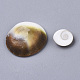 Cabuchones naturales shell SSHEL-S258-93-3