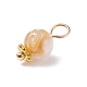 Natural Freshwater Shell Charms PALLOY-JF01657-3
