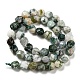 Chapelets de perles en agate d'arbre naturelle G-C085-A03-01-3