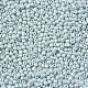 Glass Seed Beads SEED-S060-A-F408-3