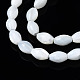 Chapelets de perles de coquille de trochid / trochus coquille SSHEL-S266-021A-02-3