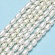 Natural Cultured Freshwater Pearl Beads Strands PEAR-J006-03E-2