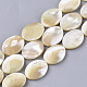 Chapelets de perles de coquille de trochid / trochus coquille SHEL-T013-006A-01-1