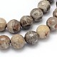 Natural Fossil Coral Round Bead Strands G-O094-08-10mm-2