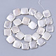 Shell Pearl Beads Strands X-SSHEL-T011-04A-2