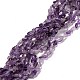 Natural Amethyst Beads Strands G-F465-51-1