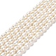 Natural Cultured Freshwater Pearl Beads Strands PEAR-E016-145-1