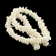 Chips Natural Dyed Seashell Beads Strands SSHEL-Q295-22A-2