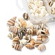 5 styles de perles de coquillages naturels mélangés SSHEL-YW0001-03-2