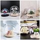 High Borosilicate Glass Cloche Globe Display Dome ODIS-F007-01A-4