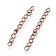 Iron Ends with Twist Chains CH-CH017-5cm-R-1