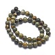 Chapelets de perles de feuille d'argent en jaspe naturel G-I254-04B-2