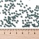 MIYUKI Round Rocailles Beads X-SEED-G008-RR4481-4