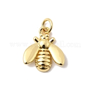 Латунь подвески KK-I364-05G-05