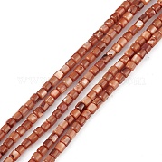 Натуральные пресноводные окрашенные бусы из ракушек SHEL-M018-14-02