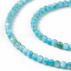 125 pezzo di perle di conchiglia d'acqua dolce naturale&nbsp;SHEL-B002-01E