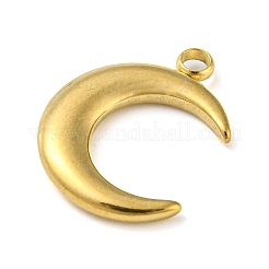 Ionenplattierung (IP) 304 Edelstahlanhänger&nbsp;STAS-P341-23G