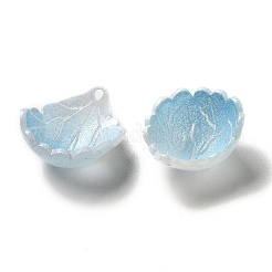 Breloques en acrylique&nbsp;SACR-C002-25
