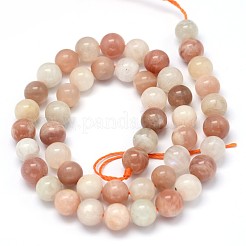 Natural Moonstone rotondo e Sunstone fili di perline&nbsp;X-G-F222-03-8mm