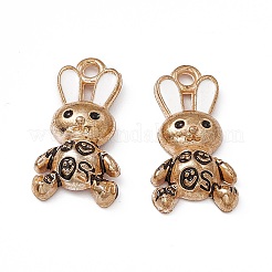 Pendentifs d'émail en alliage&nbsp;LS-ENAM-C006-06G-05