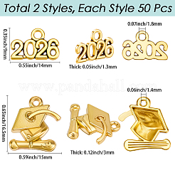100 pièces 2 styles pendentifs en alliage&nbsp;FIND-SC0021-89AG