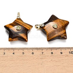 Pendentifs en œil de tigre naturel&nbsp;G-Z157-01G-A03