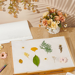 Saugfähiges Papier&nbsp;DIY-WH0504-340A