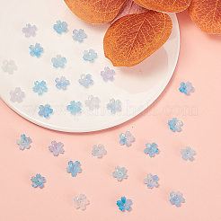 Capsules de perles d'acétate de cellulose (résine)&nbsp;RESI-CJ0001-221