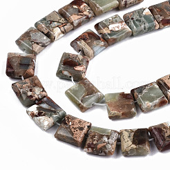 Natürliche Aqua Terra Jaspis Perlen Stränge&nbsp;G-S366-018B