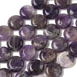 Natürlichen Amethyst Perlen Stränge&nbsp;G-L648-B25-15mm