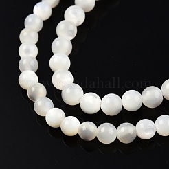 Natürliche weiße Muschelperlenstränge&nbsp;SSHEL-N003-144C-01