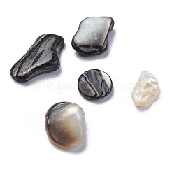 Natürliche schwarze Lippe Muschelperlen&nbsp;SSHEL-K026-02B