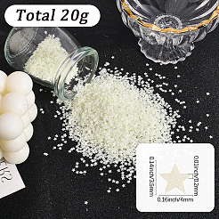 20 g di paillettes luminose a forma di stella in plastica per decorazioni nail art&nbsp;KY-SC0002-41