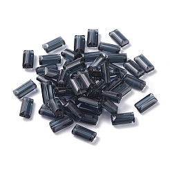K9 Glas&nbsp;SWAR-F081-6x12mm-20