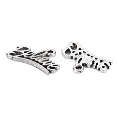 Tibetischer stil Aluminium Anhänger & Charms&nbsp;PALLOY-T075-136AS-RS