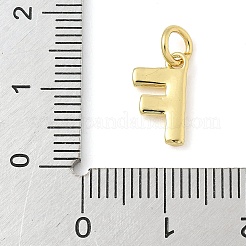 Breloques en laiton&nbsp;KK-I382-08G-F