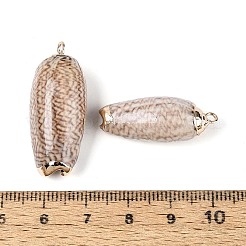 Galvanisierte Anhänger aus natürlichen Muscheln&nbsp;SSHEL-T018-04