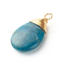 Natürliche Apatit Pendants&nbsp;X-PALLOY-JF00878
