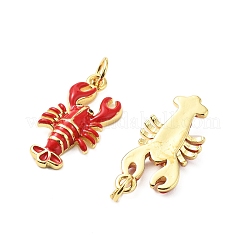 Pendentifs d'émail en laiton &nbsp;X-KK-L237-027G-02