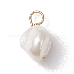 Ciondoli con pepite di perle di conchiglia galvanizzate&nbsp;PALLOY-JF04641-01