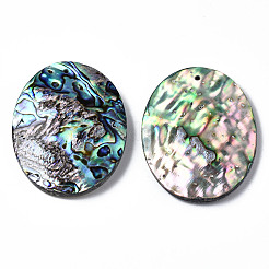 Natürliche Abalone Muschel / Paua Muschel Anhänger&nbsp;SSHEL-N034-89