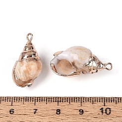 Colgantes de concha natural galvanizados&nbsp;BSHE-T015-08
