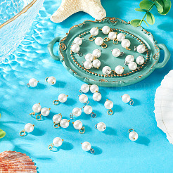 40 Stück 2 Farben Muschelperle runde Charms&nbsp;PALLOY-TA00340