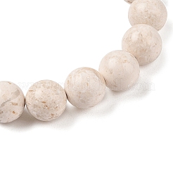 Braccialetti elasticizzati con perline rotonde fossili naturali&nbsp;G-U005-01C-01