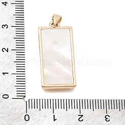 Pendentifs en laiton zircon cubique transparent&nbsp;CU-CBAE7DF-08G-01