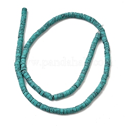 Tinti turchese sintetico fili di perline&nbsp;G-Z089-A04-O