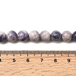 Fili di perline di diaspro naturale a strisce viola&nbsp;G-K350-C03-8mm